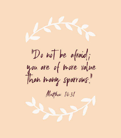 «No temáis; vosotros valéis más que muchos gorriones.» — Mateo 10:31