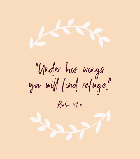 «Debajo de sus alas hallarás refugio.» — Salmo 91:4